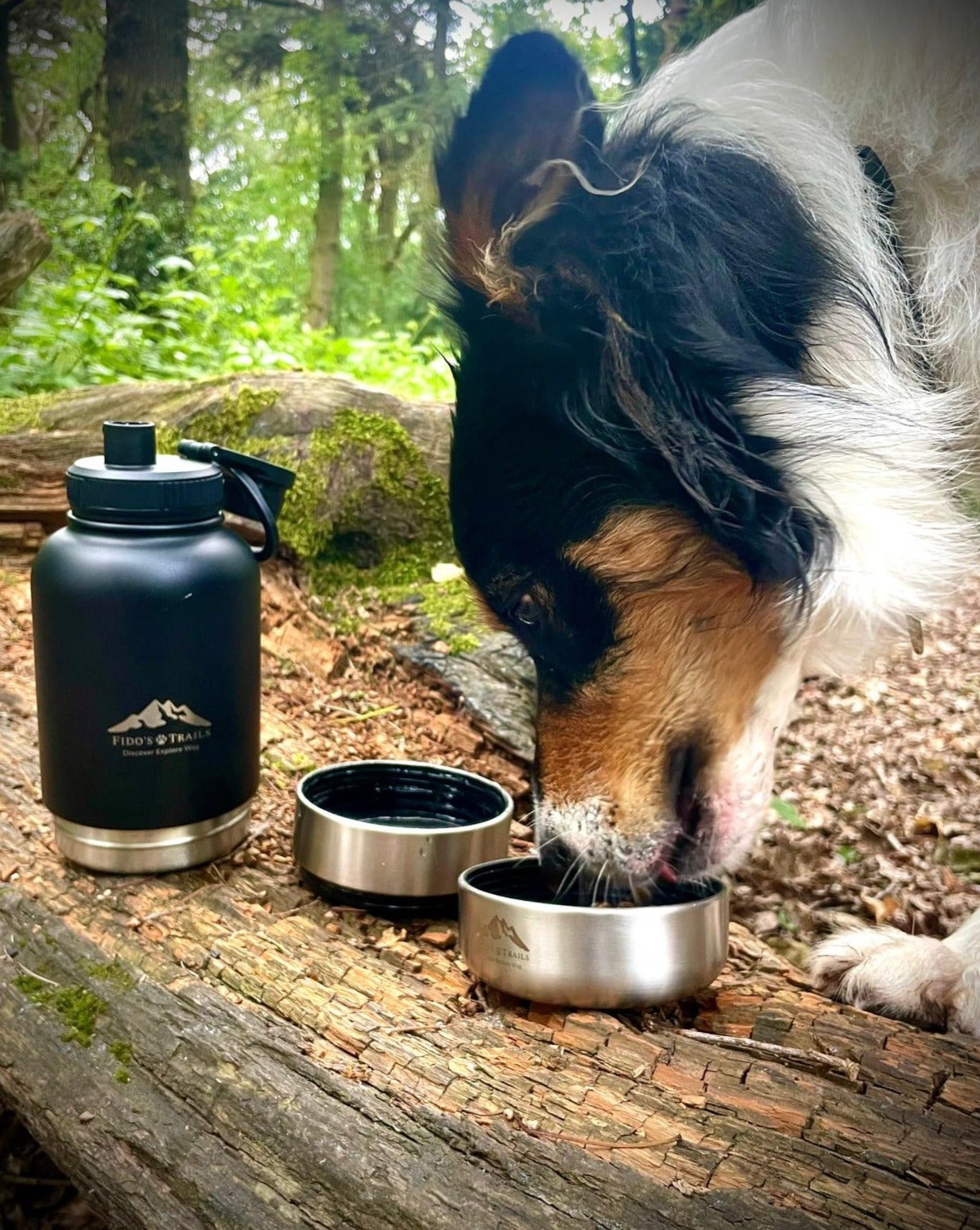 Fido's Trails | High-Quality Dog Gear, Discover Explore Wag With Us.